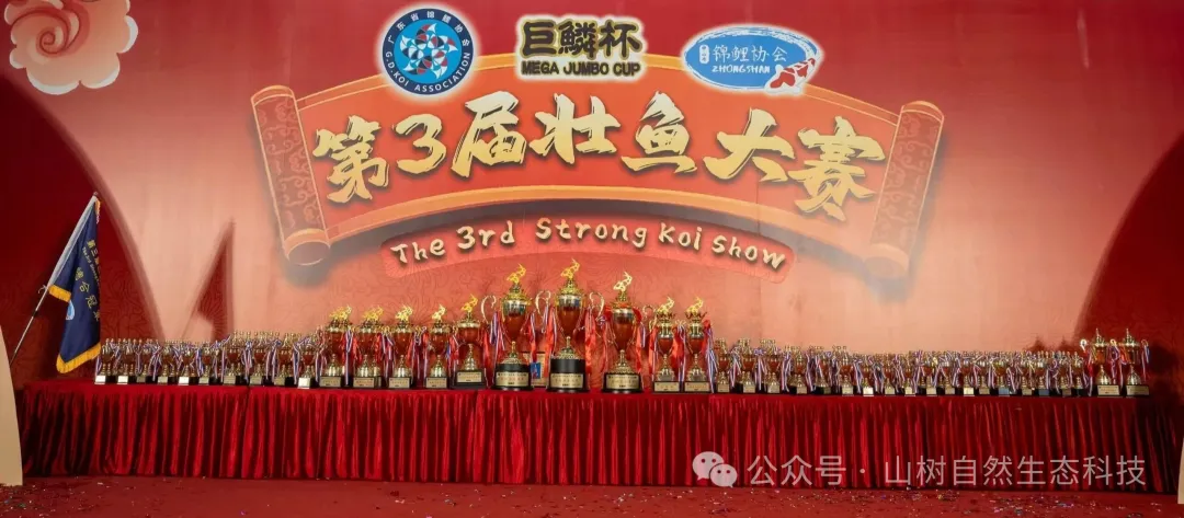 【精彩回顾】第3届壮鱼大赛圆满落幕