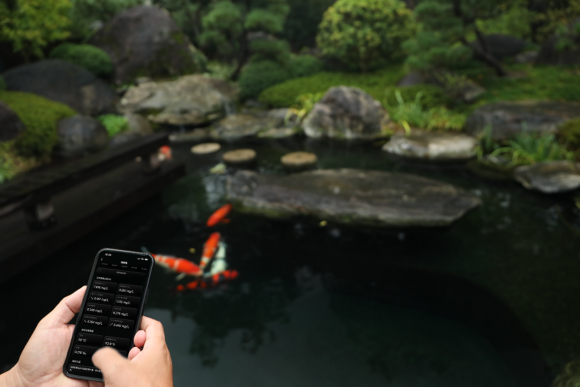 缺氧引发的一夕锦鲤团灭惨案